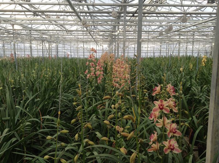 image - Pentru o zi am fost in Paradis