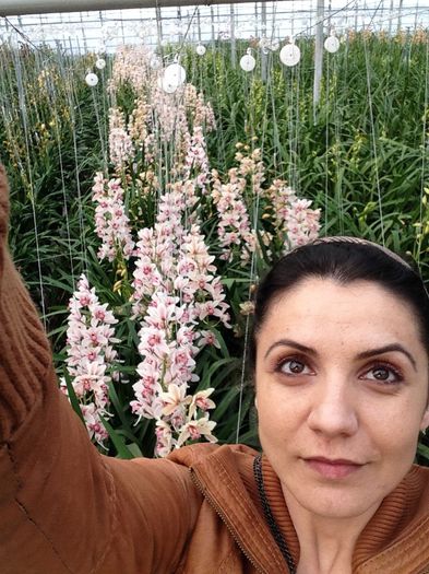 image - Pentru o zi am fost in Paradis