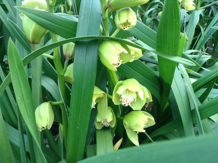 image - Pentru o zi am fost in Paradis