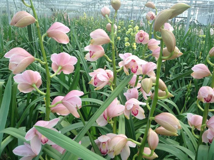 image - Pentru o zi am fost in Paradis