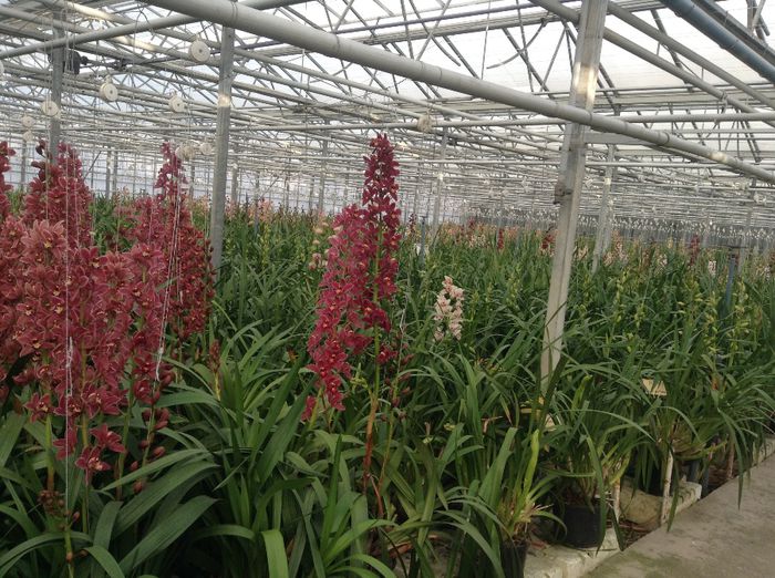 image - Pentru o zi am fost in Paradis