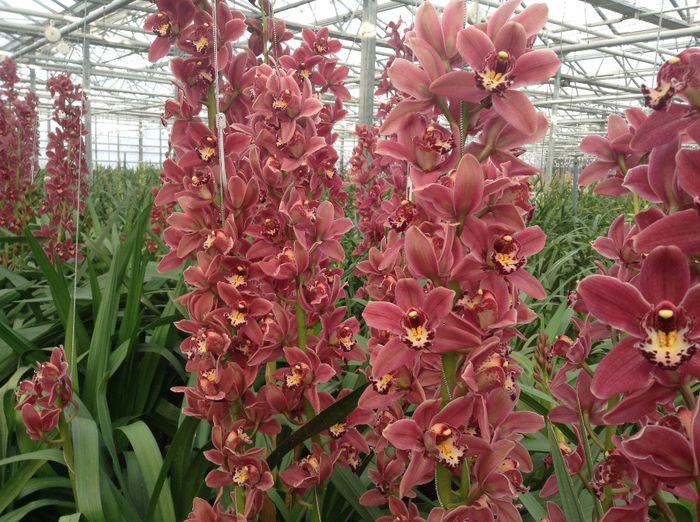 image - Pentru o zi am fost in Paradis