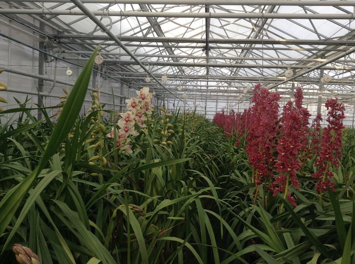 image - Pentru o zi am fost in Paradis