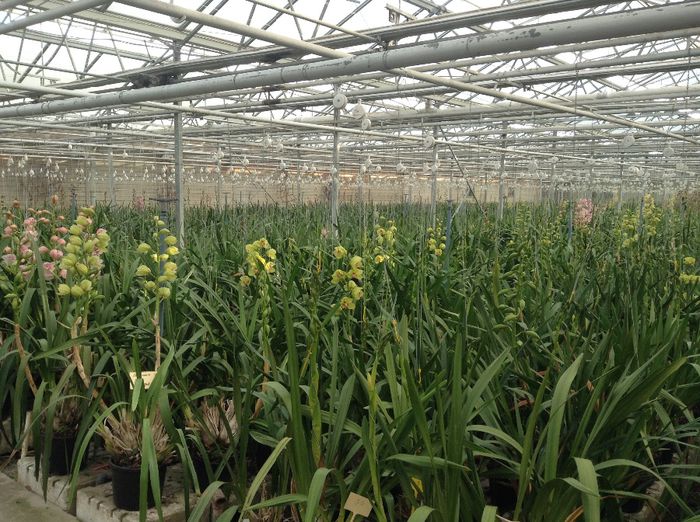 image - Pentru o zi am fost in Paradis