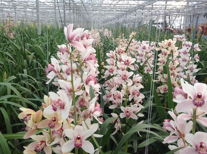 image - Pentru o zi am fost in Paradis