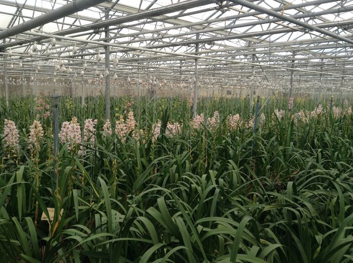 image - Pentru o zi am fost in Paradis