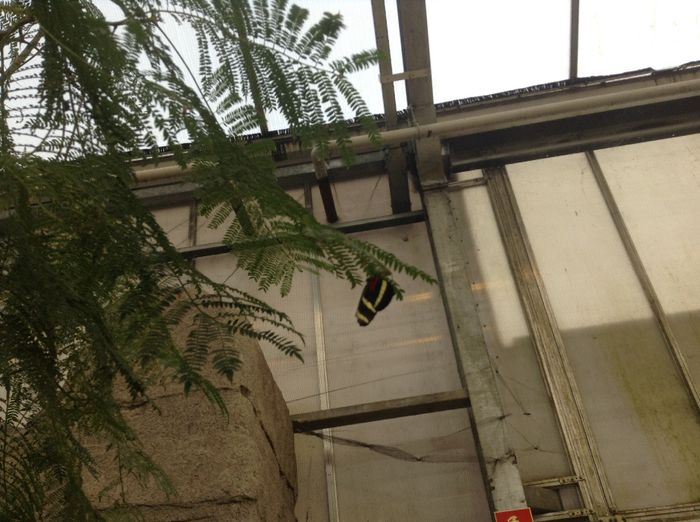 image - Pentru o zi am fost in Paradis