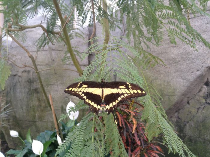 image - Pentru o zi am fost in Paradis