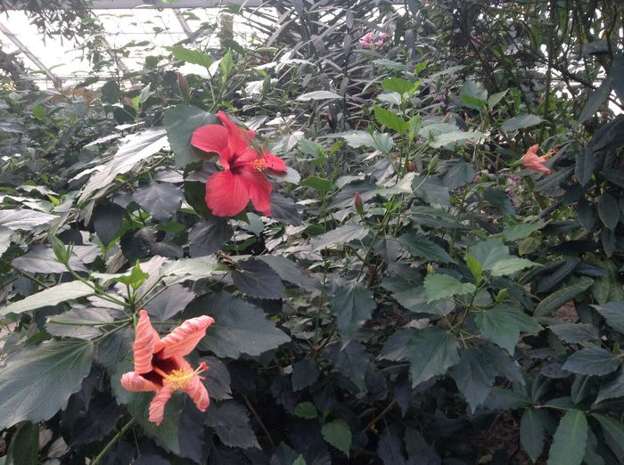 image - Pentru o zi am fost in Paradis