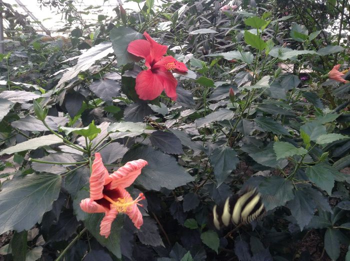 image - Pentru o zi am fost in Paradis