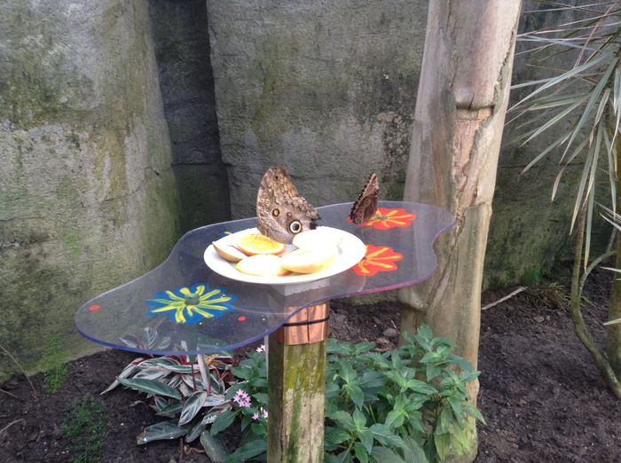 image - Pentru o zi am fost in Paradis