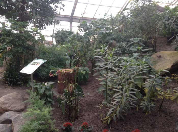 image - Pentru o zi am fost in Paradis