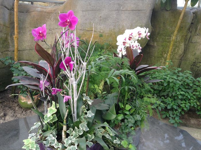 image - Pentru o zi am fost in Paradis