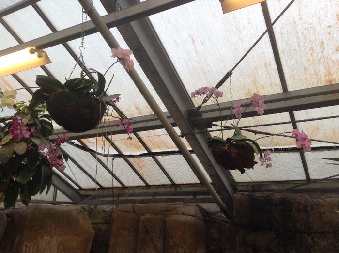 image - Pentru o zi am fost in Paradis