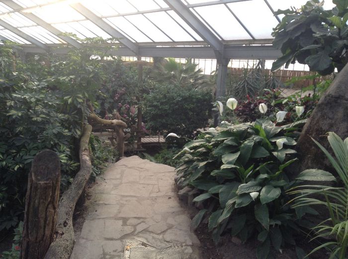 image - Pentru o zi am fost in Paradis