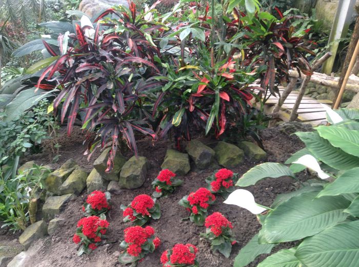 image - Pentru o zi am fost in Paradis