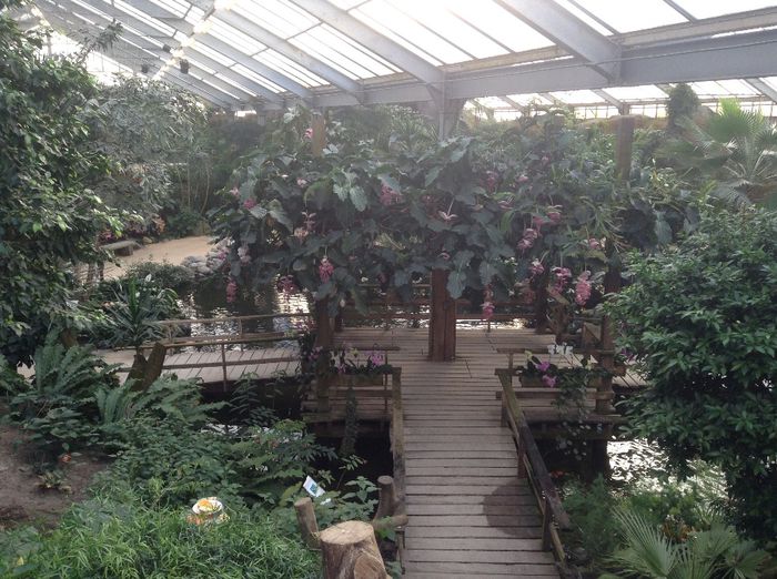 image - Pentru o zi am fost in Paradis