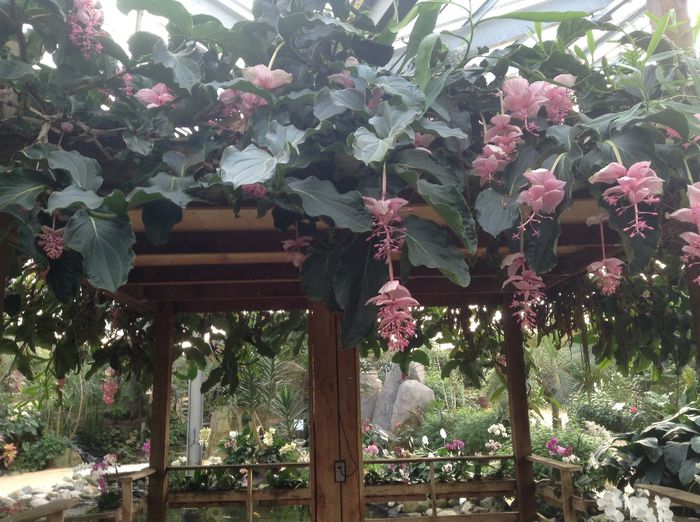 image - Pentru o zi am fost in Paradis