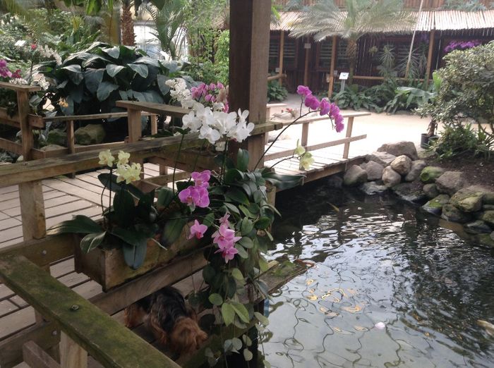 image - Pentru o zi am fost in Paradis