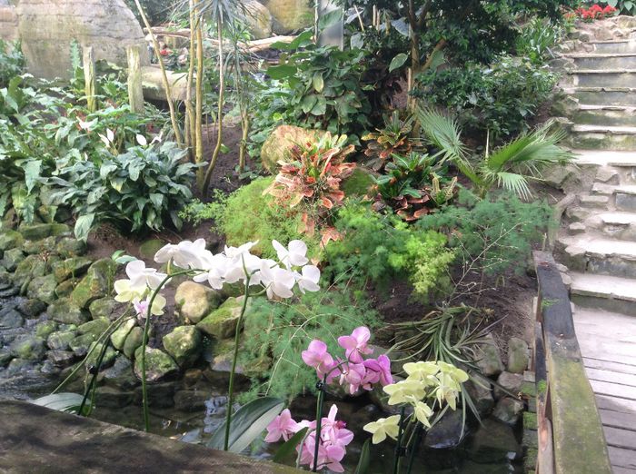 image - Pentru o zi am fost in Paradis