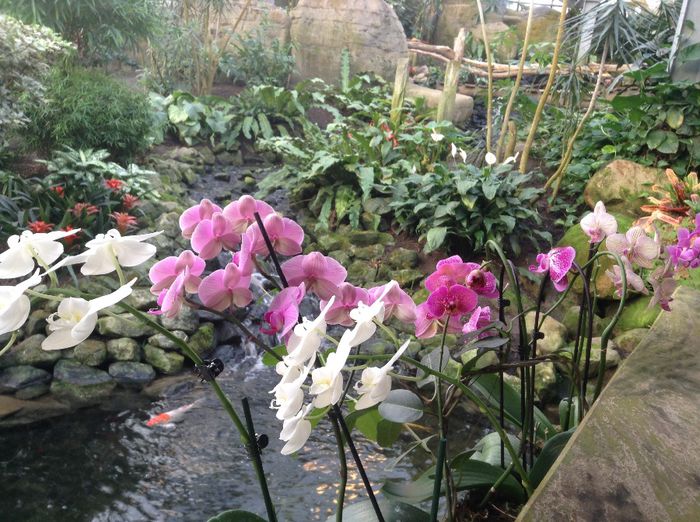 image - Pentru o zi am fost in Paradis