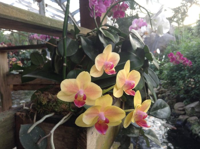 image - Pentru o zi am fost in Paradis