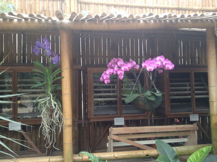 image - Pentru o zi am fost in Paradis