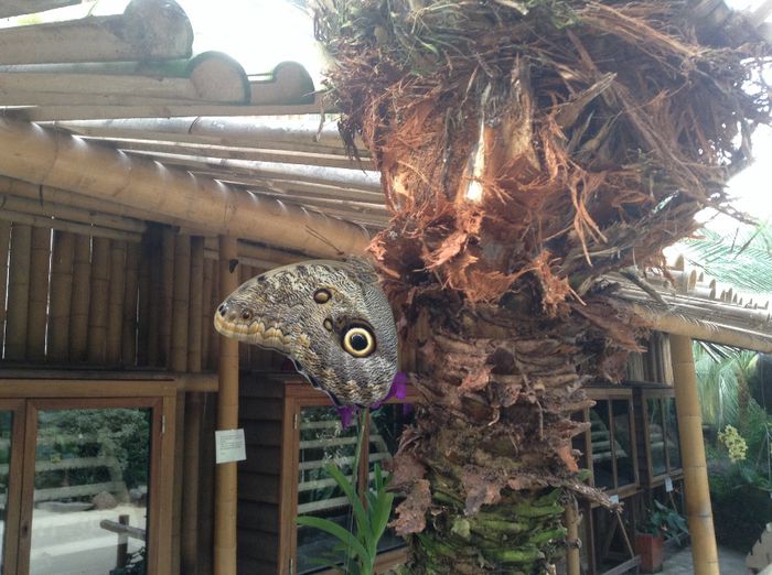 image - Pentru o zi am fost in Paradis