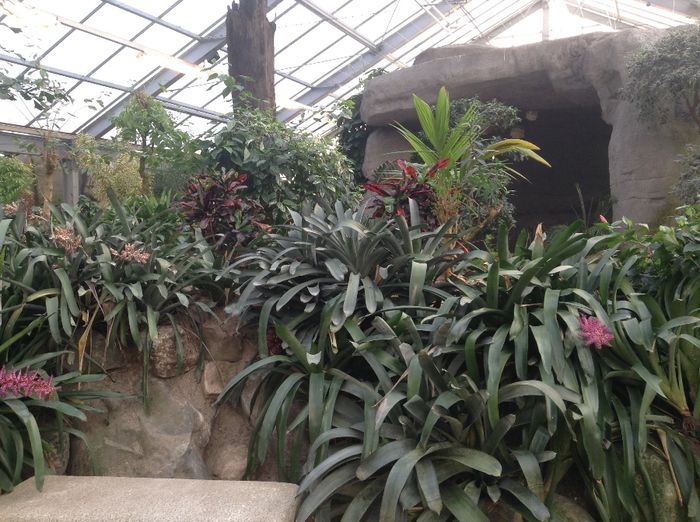 image - Pentru o zi am fost in Paradis