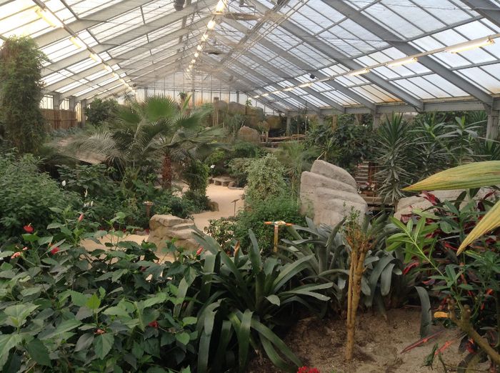 image - Pentru o zi am fost in Paradis