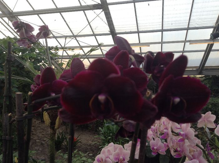 image - Pentru o zi am fost in Paradis