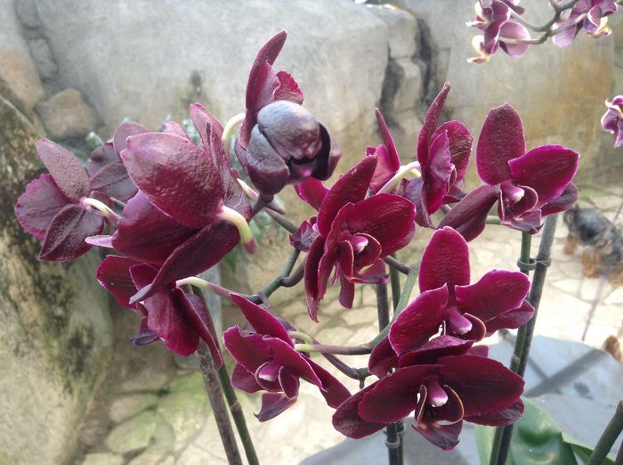 image - Pentru o zi am fost in Paradis