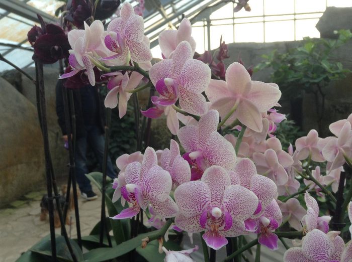 image - Pentru o zi am fost in Paradis