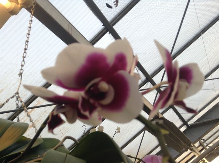 image - Pentru o zi am fost in Paradis