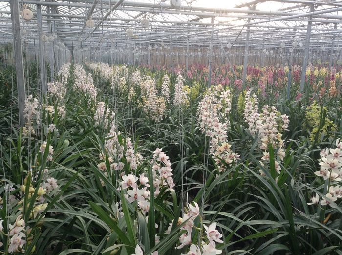 image - Pentru o zi am fost in Paradis