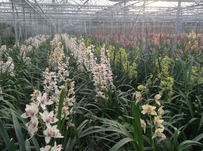 image - Pentru o zi am fost in Paradis