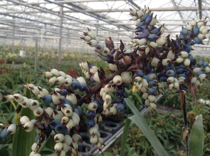 image - Pentru o zi am fost in Paradis