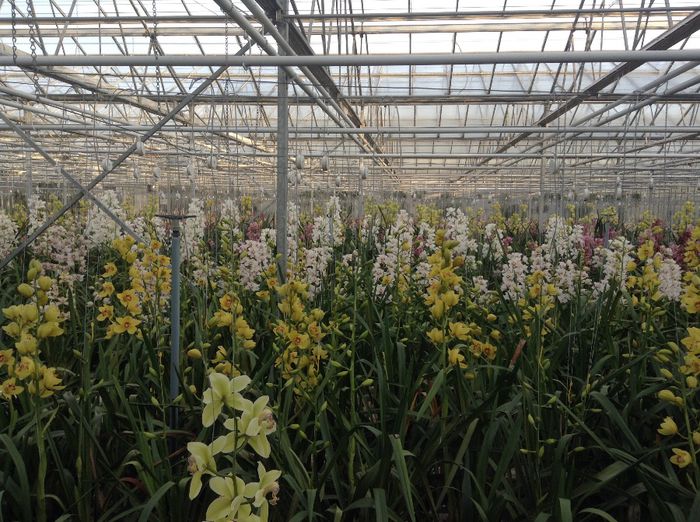 image - Pentru o zi am fost in Paradis