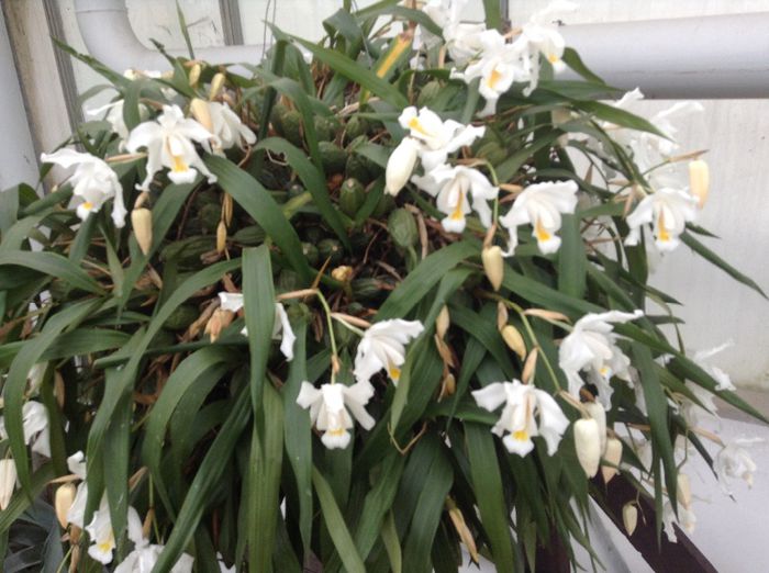 image - Pentru o zi am fost in Paradis