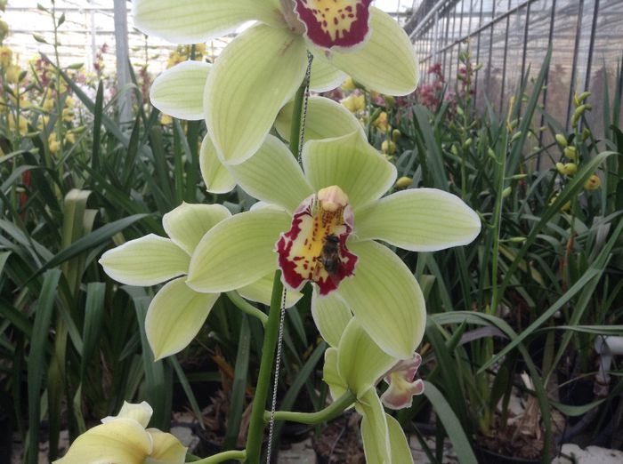 image - Pentru o zi am fost in Paradis