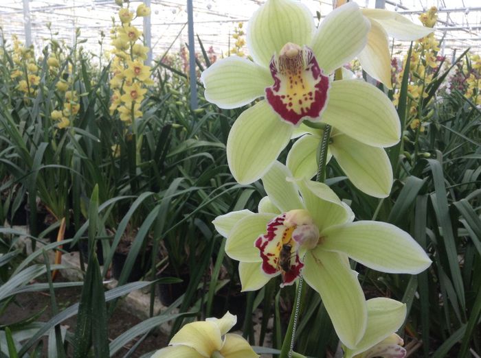 image - Pentru o zi am fost in Paradis