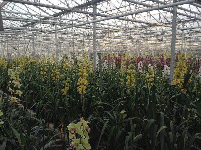 image - Pentru o zi am fost in Paradis