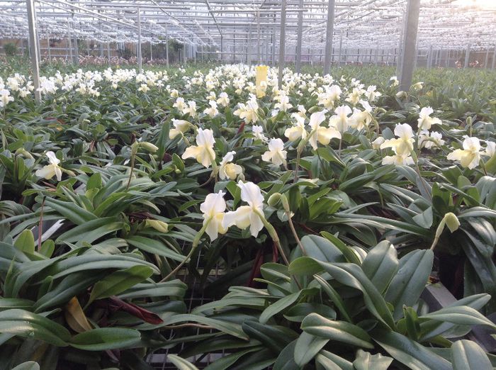 image - Pentru o zi am fost in Paradis