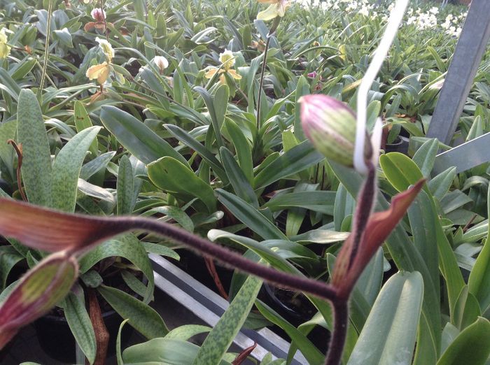 image - Pentru o zi am fost in Paradis