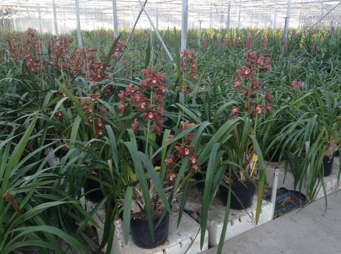 image - Pentru o zi am fost in Paradis