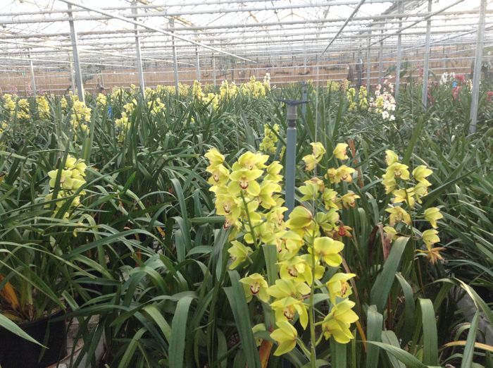 image - Pentru o zi am fost in Paradis