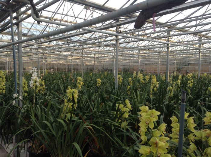 image - Pentru o zi am fost in Paradis