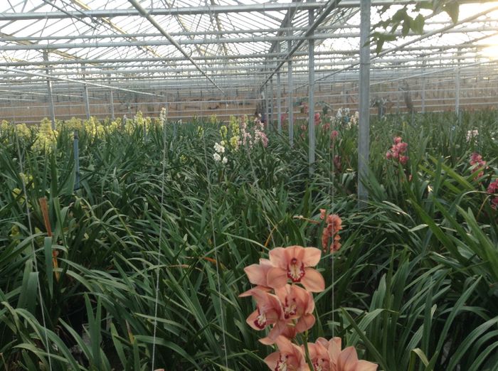 image - Pentru o zi am fost in Paradis