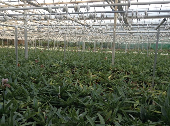 image - Pentru o zi am fost in Paradis