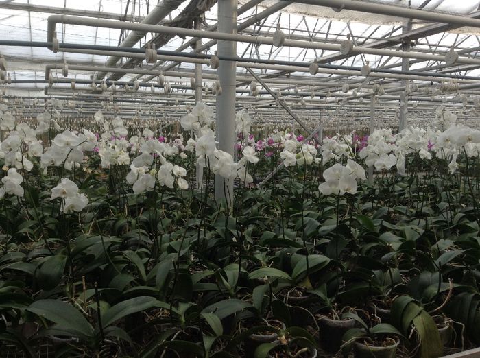 image - Pentru o zi am fost in Paradis